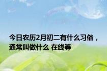 今日农历2月初二有什么习俗，通常叫做什么 在线等