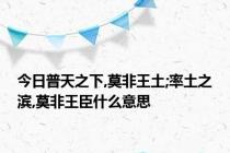 今日普天之下,莫非王土;率土之滨,莫非王臣什么意思