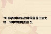 今日诗经中著名的蒹葭苍苍白露为霜一句中蒹葭是指什么