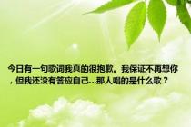 今日有一句歌词我真的很抱歉。我保证不再想你，但我还没有答应自己…那人唱的是什么歌？