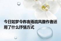 今日如梦令昨夜雨疏风骤作者运用了什么抒情方式