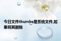 今日文件thumbs是系统文件,如果将其删除