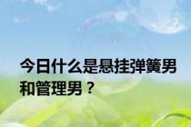今日什么是悬挂弹簧男和管理男？