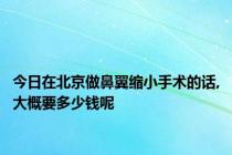 今日在北京做鼻翼缩小手术的话,大概要多少钱呢