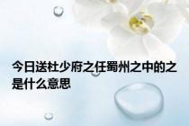 今日送杜少府之任蜀州之中的之是什么意思