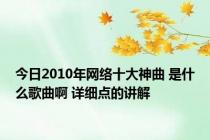 今日2010年网络十大神曲 是什么歌曲啊 详细点的讲解