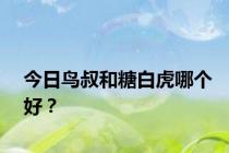今日鸟叔和糖白虎哪个好？