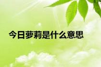 今日萝莉是什么意思