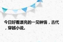 今日好看漂亮的一见钟情，古代，穿越小说。
