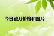 今日藏刀价格和图片