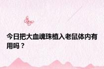 今日把大血魂珠植入老鼠体内有用吗？