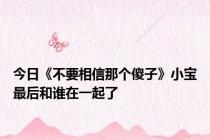 今日《不要相信那个傻子》小宝最后和谁在一起了