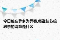 今日独在异乡为异客,每逢佳节倍思亲的诗意是什么