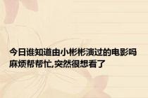 今日谁知道由小彬彬演过的电影吗麻烦帮帮忙,突然很想看了