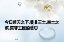 今日普天之下,莫非王土,率土之滨,莫非王臣的意思