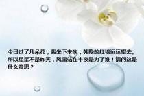 今日过了几朵花，我坐下来吹，韩隐的红墙远远望去。所以星星不是昨天，风露站在半夜是为了谁！请问这是什么意思？