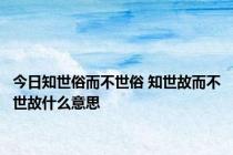 今日知世俗而不世俗 知世故而不世故什么意思