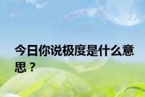 今日你说极度是什么意思？