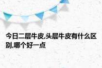 今日二层牛皮,头层牛皮有什么区别,哪个好一点