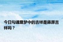 今日勾魂噩梦中的吉祥是藤原吉祥吗？