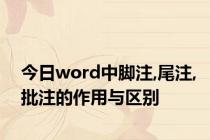 今日word中脚注,尾注,批注的作用与区别