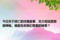 今日关于逃亡的详细故事，见介绍说真相很神秘。谁能告诉我们里面的秘密？
