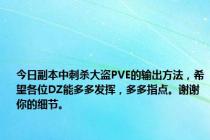 今日副本中刺杀大盗PVE的输出方法，希望各位DZ能多多发挥，多多指点。谢谢你的细节。
