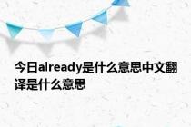 今日already是什么意思中文翻译是什么意思