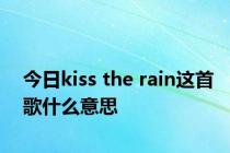 今日kiss the rain这首歌什么意思