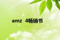 amz  4畅销书