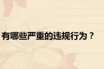 有哪些严重的违规行为？