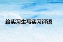 给实习生写实习评语