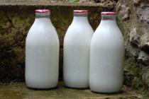 保持生鲜牛奶新鲜的5个重要提示