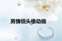 男情侣头像动画
