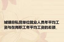 城镇非私营单位就业人员年平均工资与在岗职工年平均工资的差额_