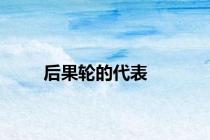 后果轮的代表