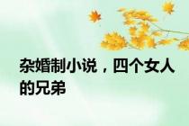 杂婚制小说，四个女人的兄弟