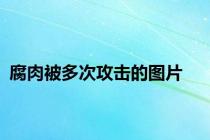 腐肉被多次攻击的图片