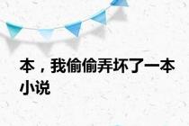 本，我偷偷弄坏了一本小说