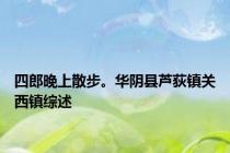 四郎晚上散步。华阴县芦荻镇关西镇综述