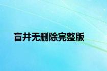 盲井无删除完整版