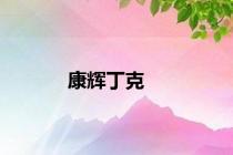 康辉丁克