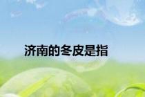 济南的冬皮是指