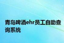 青岛啤酒ehr员工自助查询系统