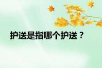 护送是指哪个护送？
