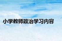 小学教师政治学习内容