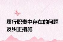 履行职责中存在的问题及纠正措施