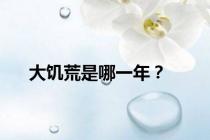 大饥荒是哪一年？