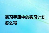 实习手册中的实习计划怎么写