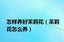 怎样养好茉莉花（苿莉花怎么养）